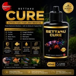 Betta4U Cure 40ml BC40ml