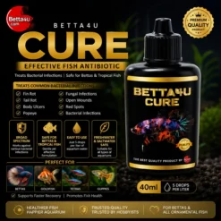 Betta4U Cure 40ml BC40ml