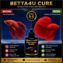 Betta4U Cure 40ml BC40ml