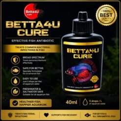 Betta4U Cure 40ml BC40ml
