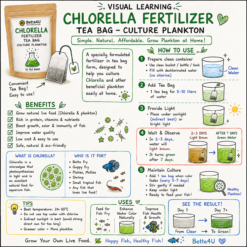 Captivating Chlorella Fertilizer Tea Bag Culturing Plankton