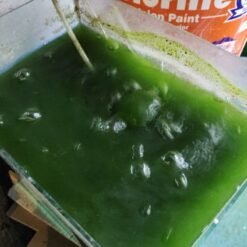 Chlorella Fertilizer Tea Bag Culturing Plankton 13 Chlorella Fertilizer Tea Bag