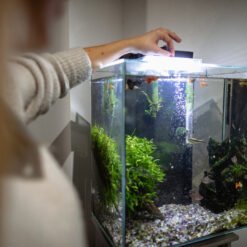 Fish Feeding Accessories