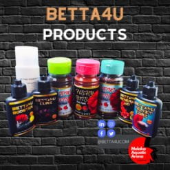 Betta4U Products