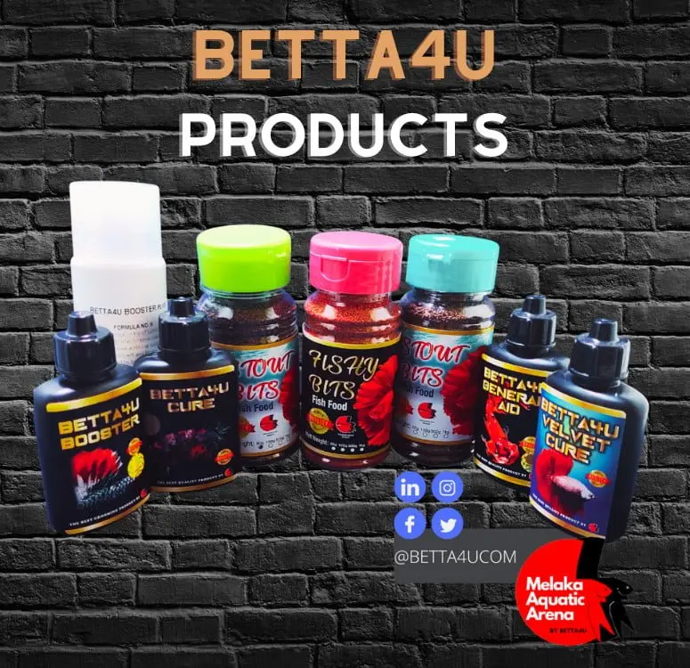 Sell our products 1 All Products Betta4U Products Sole distributors Reseller, bidding, auction