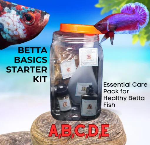 Betta Basics Starter Kit