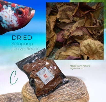 Betta Basics Starter Kit: Essential Care Pack for Healthy Betta Fish Ketapang leave pieces