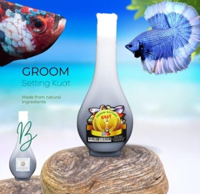 Betta Basics Starter Kit: Essential Care Pack for Healthy Betta Fish Groom Setting Kuat