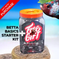 Betta Basics Starter Kit free gift