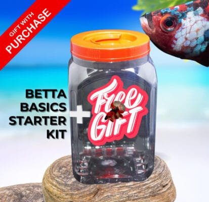 Betta Basics Starter Kit free gift