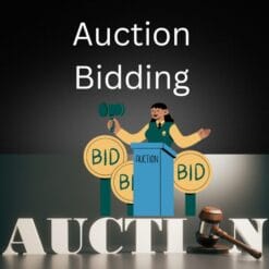 Auction Bidding