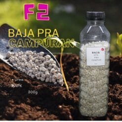 Simplified Green Water Chlorella Starter Kits Moina Culture