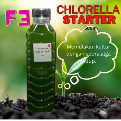 Simplified Green Water Chlorella Starter Kits Moina Culture