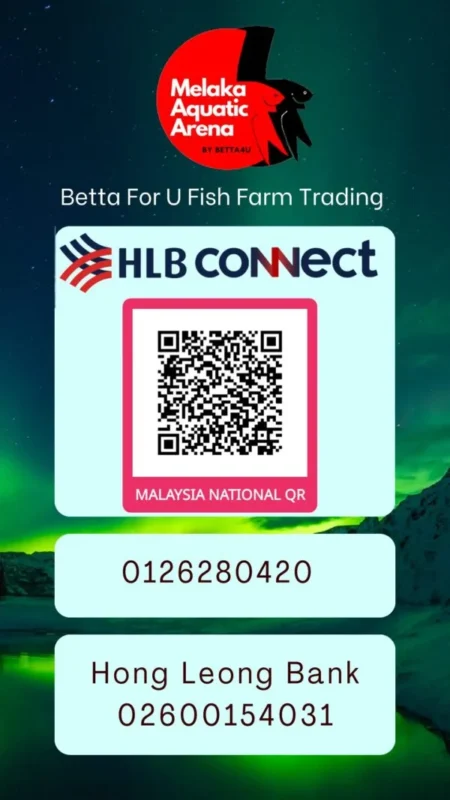 Bank transfer
Payment to Us
Direct payment