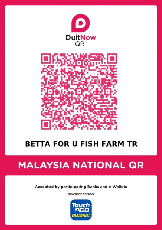 Direct Payments Duit Now