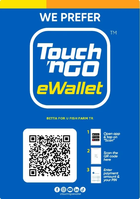 Touch n Go Direct Payments