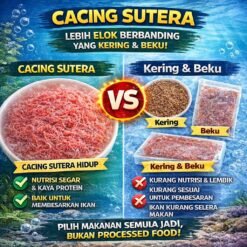 Live Tubifex Worms Culture Pack with Soil 2kg – High Protein Fish Food Fresh Tubifex Worms – Best Live Food for Aquarium Fish Tubifex Worm Culture Starter – Grow Your Own Live Fish Food How to culture Tubifex worms – high-protein fish food for better growth.