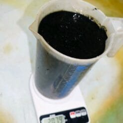 Live Tubifex Worms Culture Pack with Soil 2kg – High Protein Fish Food Fresh Tubifex Worms – Best Live Food for Aquarium Fish Tubifex Worm Culture Starter – Grow Your Own Live Fish Food How to culture Tubifex worms – high-protein fish food for better growth.