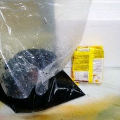 Live Tubifex Worms Culture Pack with Soil 2kg – High Protein Fish Food Fresh Tubifex Worms – Best Live Food for Aquarium Fish Tubifex Worm Culture Starter – Grow Your Own Live Fish Food How to culture Tubifex worms – high-protein fish food for better growth.