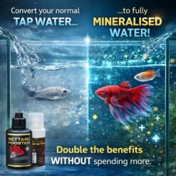 Genuine Betta4U Booster 40ml Buy One Get One Free Promotion