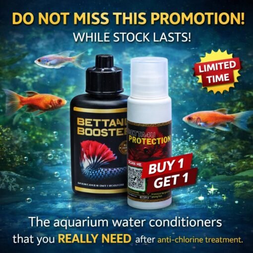 4 Top Betta Fish Products Every Owner Should Have 4 Genuine Betta4U Booster 40ml Buy One Get One Free Promotion