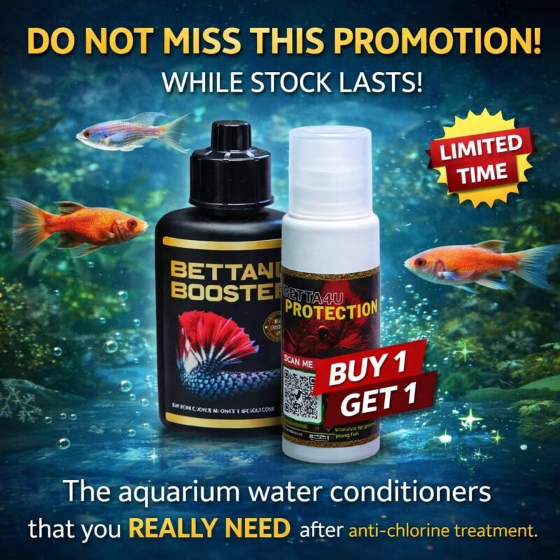 4 Top Betta Fish Products Every Owner Should Have 4 Genuine Betta4U Booster 40ml Buy One Get One Free Promotion