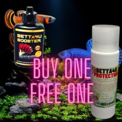 Genuine Betta4U Booster 40ml Buy One Get One Free Promotion