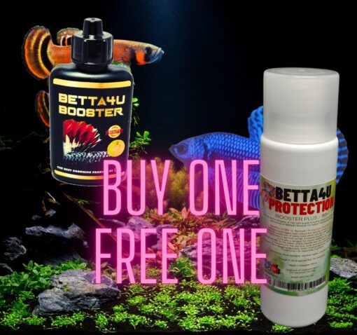 Genuine Betta4U Booster 40ml Buy One Get One Free Promotion