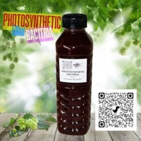 PSB Live Bacteria Simple-to-understand guide on how and when to use photosynthetic bacteria dosage