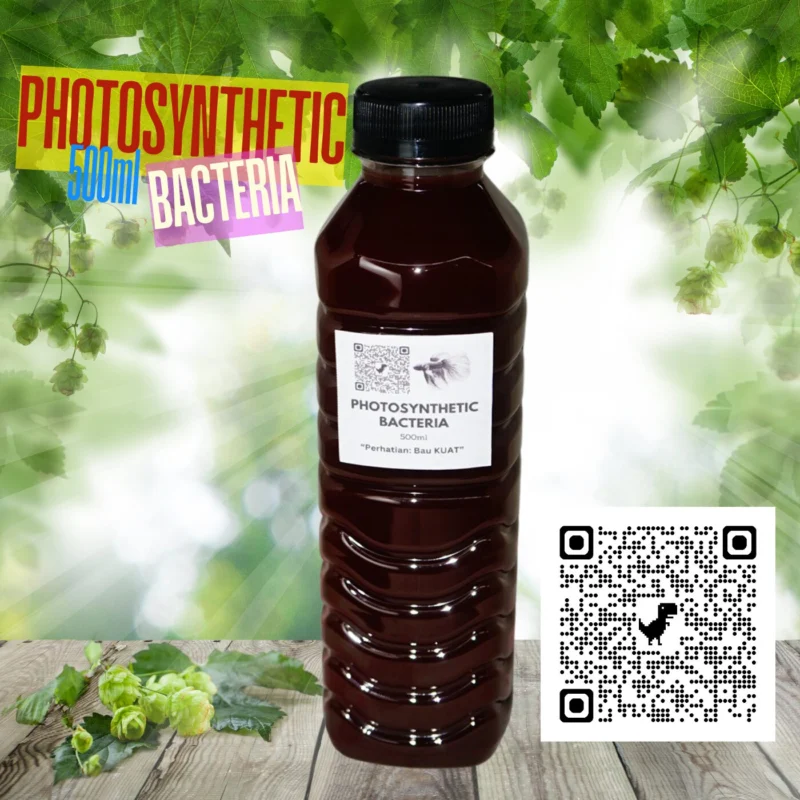 🌿 Simple-to-Understand Guide on How and When to Use Photosynthetic Bacteria: Dosage & Benefits for Plants and Aquariums 8 PSB Live Bacteria Simple-to-understand guide on how and when to use photosynthetic bacteria dosage