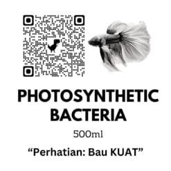 PSB Live Bacteria