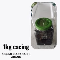 Live Tubifex Worms Culture Pack with Soil 2kg – High Protein Fish Food Fresh Tubifex Worms – Best Live Food for Aquarium Fish Tubifex Worm Culture Starter – Grow Your Own Live Fish Food How to culture Tubifex worms – high-protein fish food for better growth.