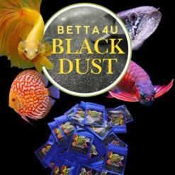 Betta4U Black Dust BBD powdered blackwater extract Betta fish in blackwater treated with Betta4U Black Dust Aquarium tinted natural blackwater from Betta4U BBD