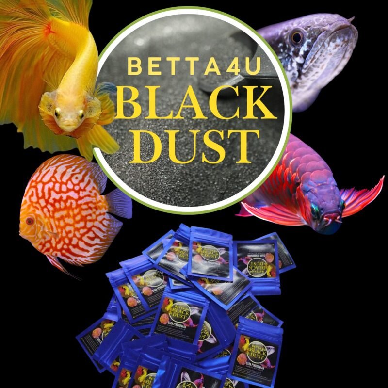 4 Top Betta Fish Products Every Owner Should Have 6 Betta4U Black Dust BBD powdered blackwater extract Betta fish in blackwater treated with Betta4U Black Dust Aquarium tinted natural blackwater from Betta4U BBD