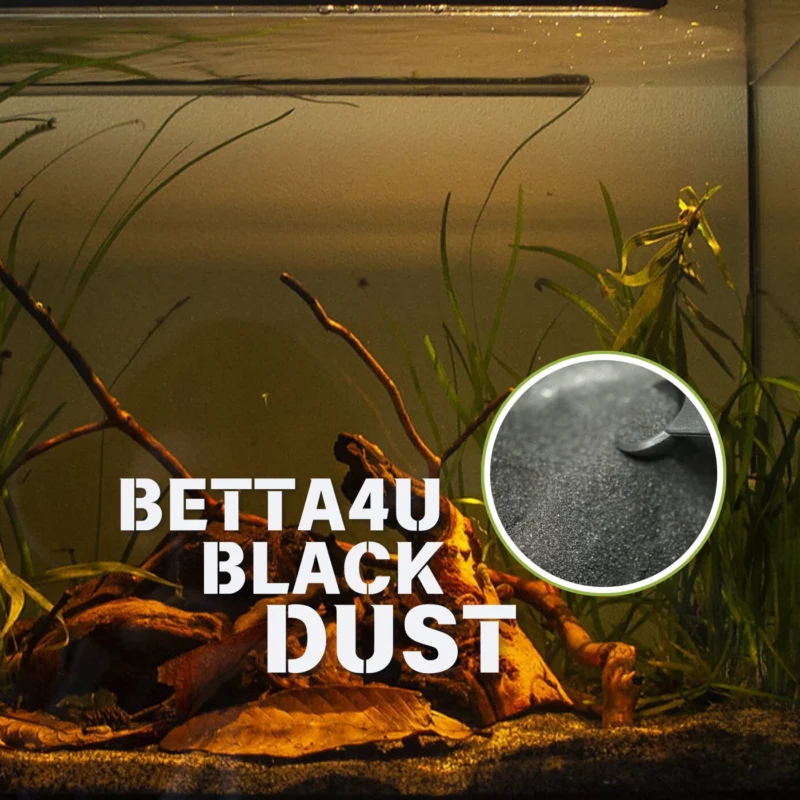 Betta4U Black Dust BBD powdered blackwater extract Betta fish in blackwater treated with Betta4U Black Dust Aquarium tinted natural blackwater from Betta4U BBD