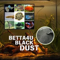 Betta4U Black Dust BBD powdered blackwater extract Betta fish in blackwater treated with Betta4U Black Dust Aquarium tinted natural blackwater from Betta4U BBD