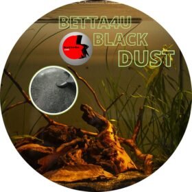 Betta4U Black Dust BBD powdered blackwater extract Betta fish in blackwater treated with Betta4U Black Dust Aquarium tinted natural blackwater from Betta4U BBD