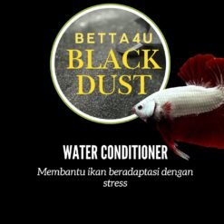 Betta4U Black Dust BBD powdered blackwater extract Betta fish in blackwater treated with Betta4U Black Dust Aquarium tinted natural blackwater from Betta4U BBD