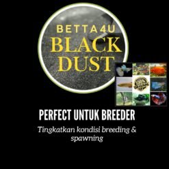 Betta4U Black Dust BBD powdered blackwater extract Betta fish in blackwater treated with Betta4U Black Dust Aquarium tinted natural blackwater from Betta4U BBD