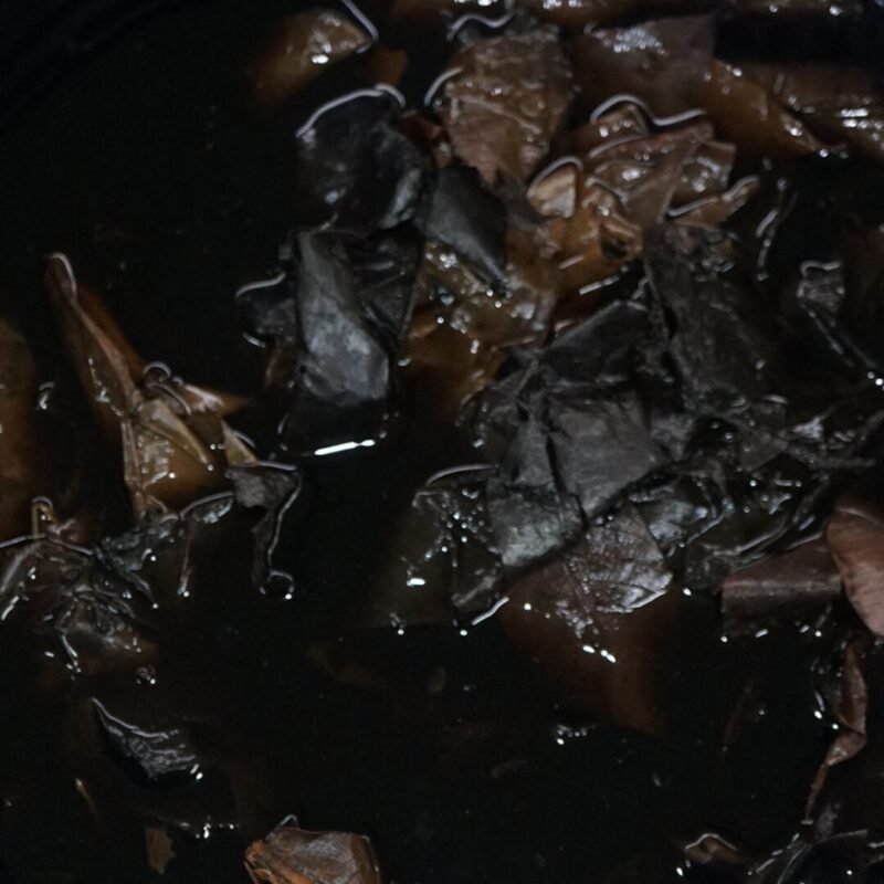 Top 7 Powerful Benefits of Blackwater for Bettas Using Betta4u Extract 9 blackwater for bettas using Betta4u blackwater extract powder