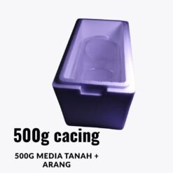 Live Tubifex Worms Culture Pack with Soil 2kg – High Protein Fish Food Fresh Tubifex Worms – Best Live Food for Aquarium Fish Tubifex Worm Culture Starter – Grow Your Own Live Fish Food How to culture Tubifex worms – high-protein fish food for better growth.