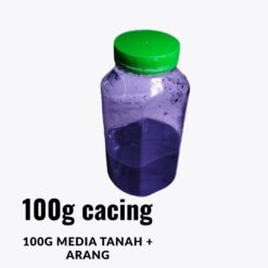 Live Tubifex Worms Culture Pack with Soil 2kg – High Protein Fish Food Fresh Tubifex Worms – Best Live Food for Aquarium Fish Tubifex Worm Culture Starter – Grow Your Own Live Fish Food How to culture Tubifex worms – high-protein fish food for better growth.