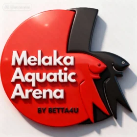 Always 48 Melaka Aquatic Arena, the best betta breeder place