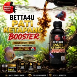 Betta4U Pati Ketapang Booster bottle with blackwater aquascape background and healthy Betta fish