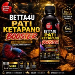 Betta4U Pati Ketapang Booster bottle with blackwater aquascape background and healthy Betta fish