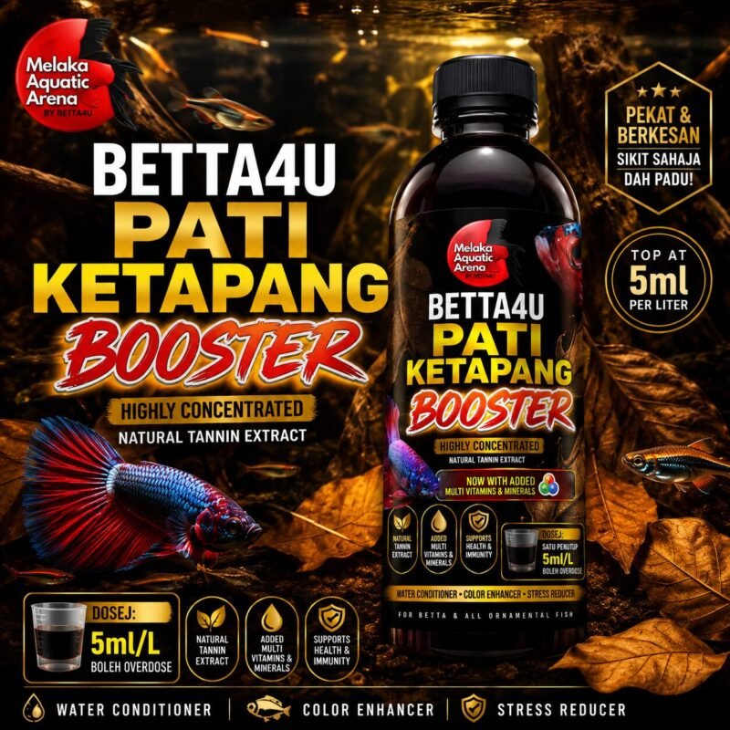 The Dark Side of the Betta Boom: Why Your Favorite Fish Needs More Than a Bowl 10 Betta4U Pati Ketapang Booster bottle with blackwater aquascape background and healthy Betta fish