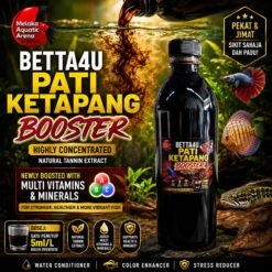 Betta4U Pati Ketapang Booster bottle with blackwater aquascape background and healthy Betta fish