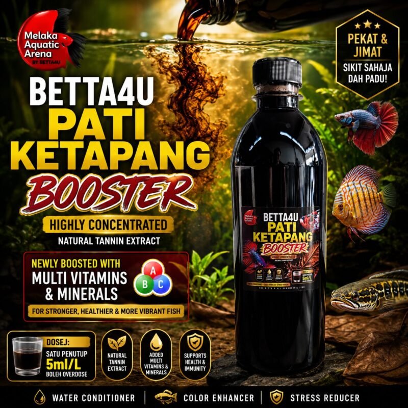 The Dark Side of the Betta Boom: Why Your Favorite Fish Needs More Than a Bowl 5 Betta4U Pati Ketapang Booster bottle with blackwater aquascape background and healthy Betta fish