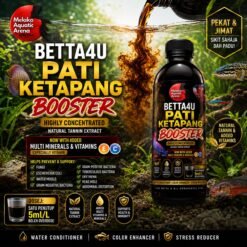 Betta4U Pati Ketapang Booster bottle with blackwater aquascape background and healthy Betta fish