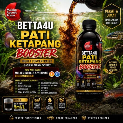 Betta4U Pati Ketapang Booster bottle with blackwater aquascape background and healthy Betta fish